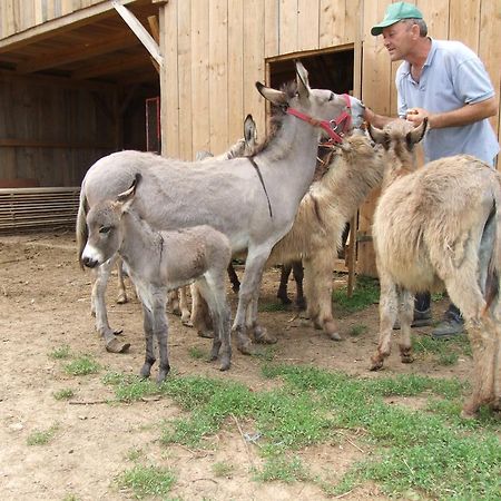 Vila Tourist Farm Ob Izviru Krupe Semic Exteriér fotografie